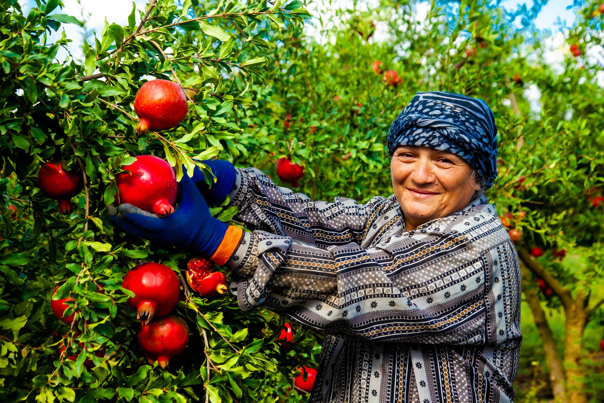Alternativas alimentarias: producción/consumo solidario y sobre todo justo  – Alimentación y Salud