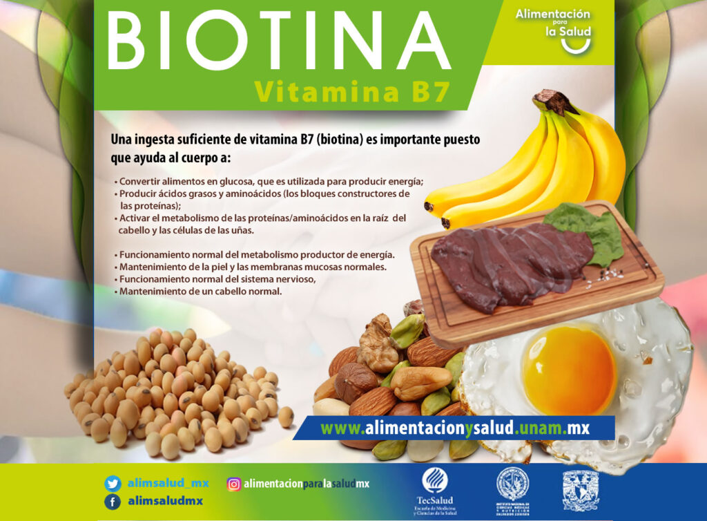 Biotina Alimentación Y Salud 1291