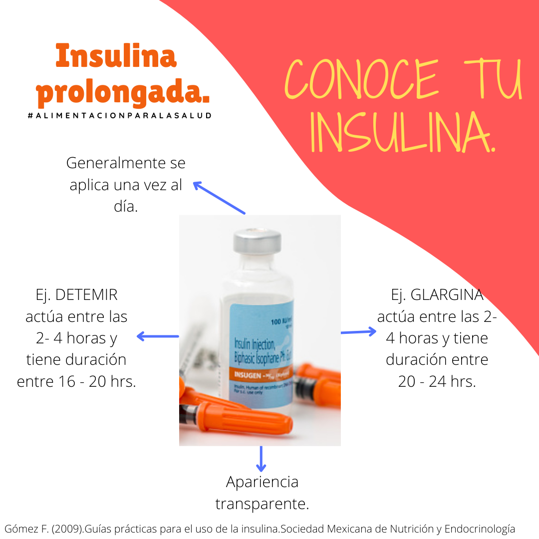 traducir Retirarse dígito Insulina prolongada – Alimentación y Salud