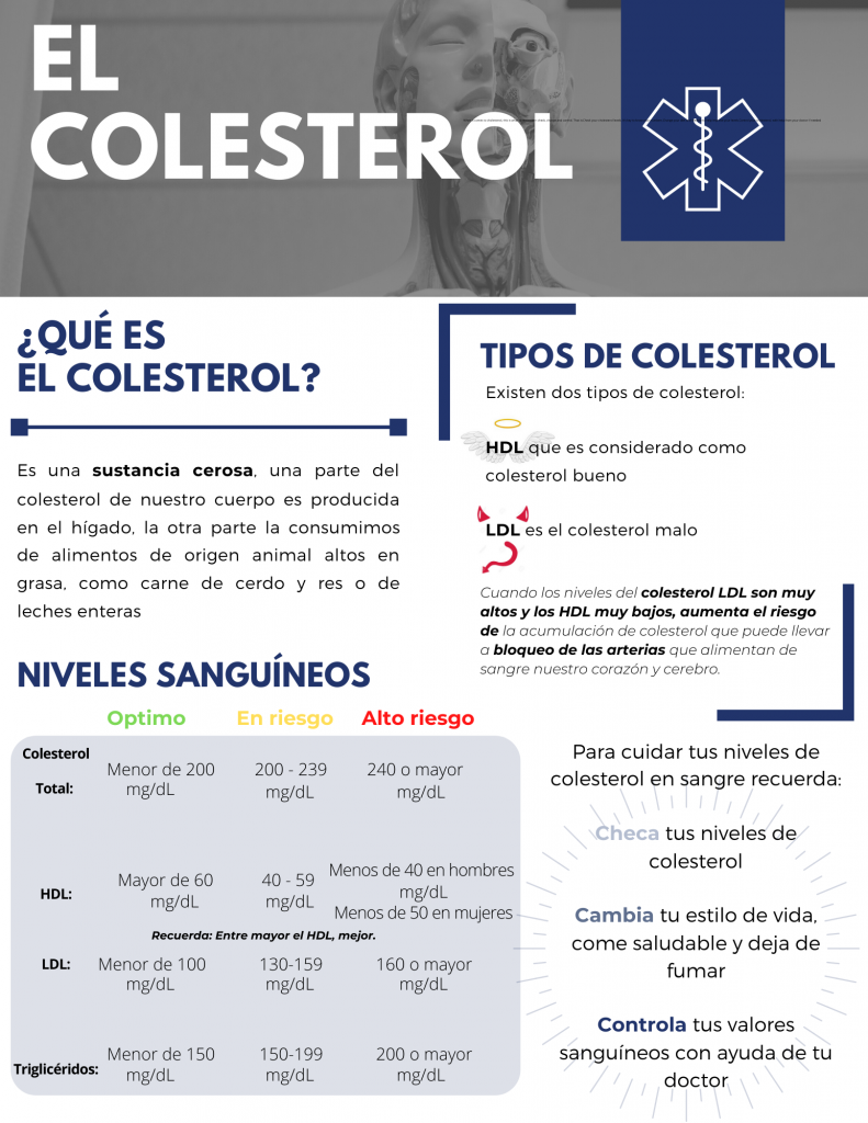 Infografías – Alimentación Y Salud